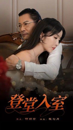 登堂入室第21-40集