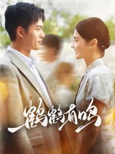 鹤鹤有鸣第21-40集