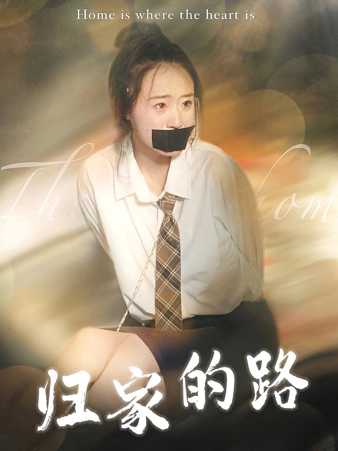 归家的路第1-20集