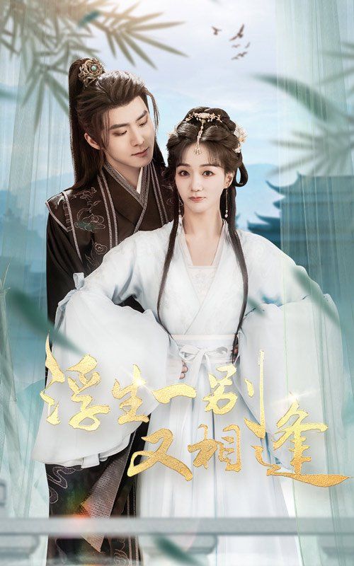 浮生一别又相逢第31-60集完结(大结局)