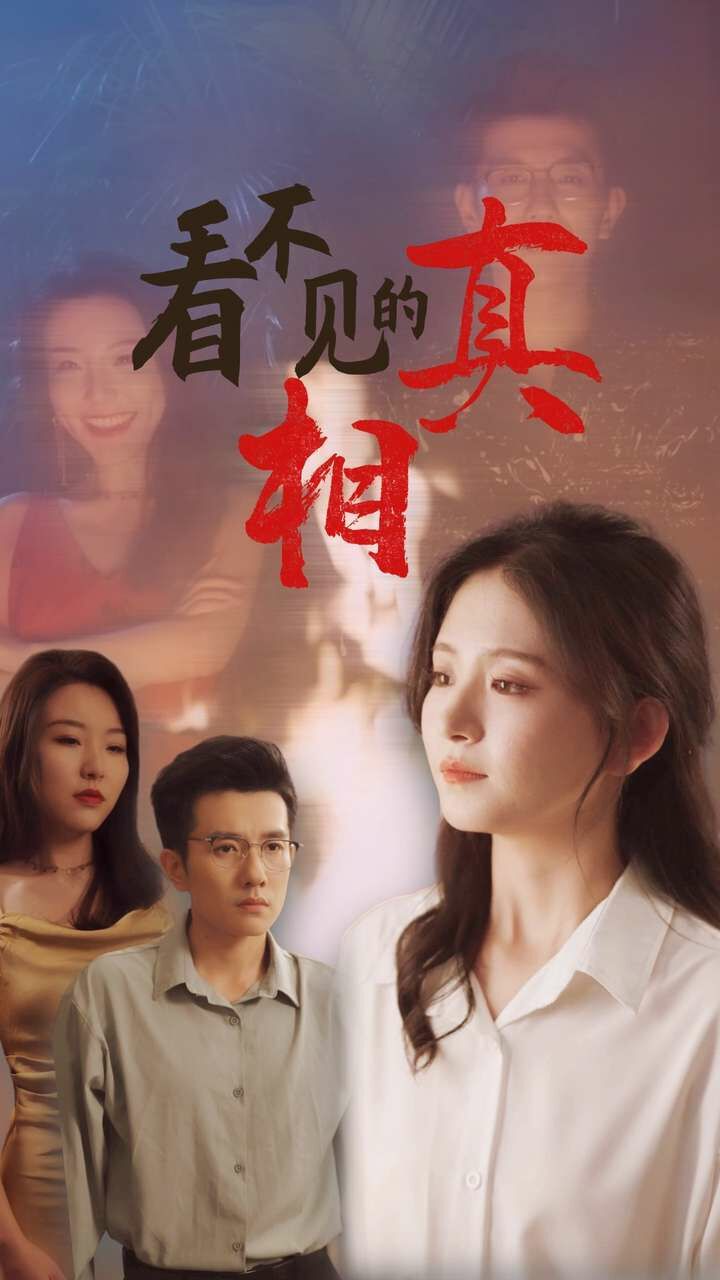 看不见的真相第21-40集