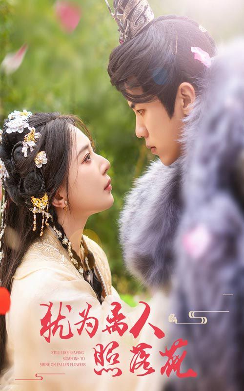 犹为离人照落花第1-20集