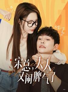 宋总，夫人又闹脾气了第41-60集完结(大结局)