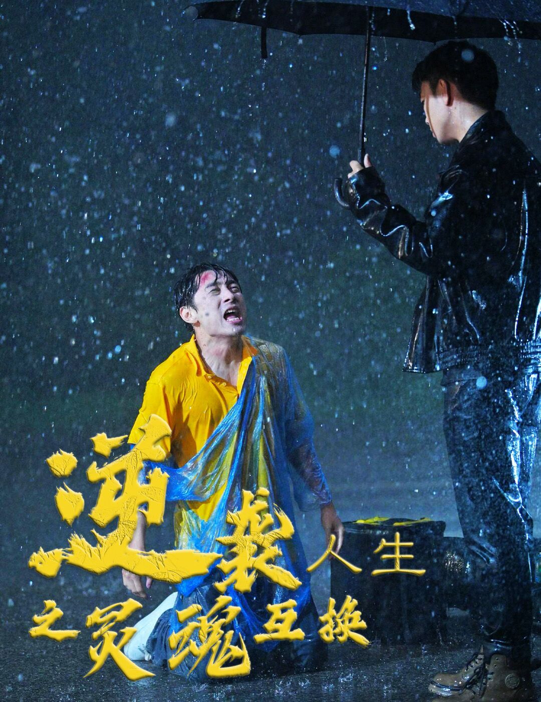 逆袭人生之灵魂互换第1-20集