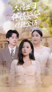 大婚当日伴娘婆婆惊艳全场第21-30集完结(大结局)