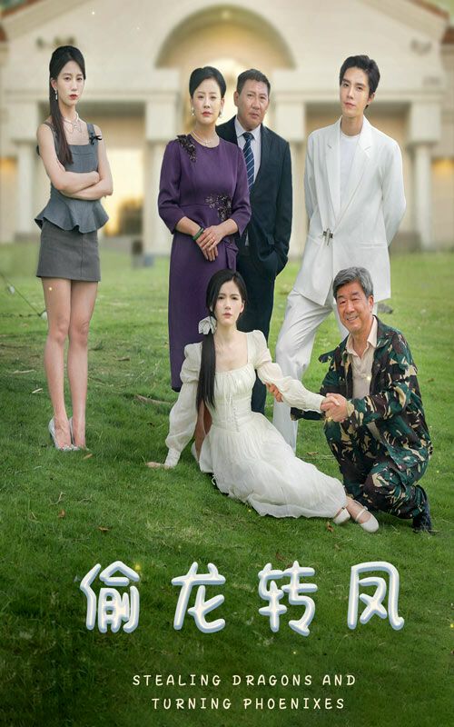 偷龙转凤第21-40集