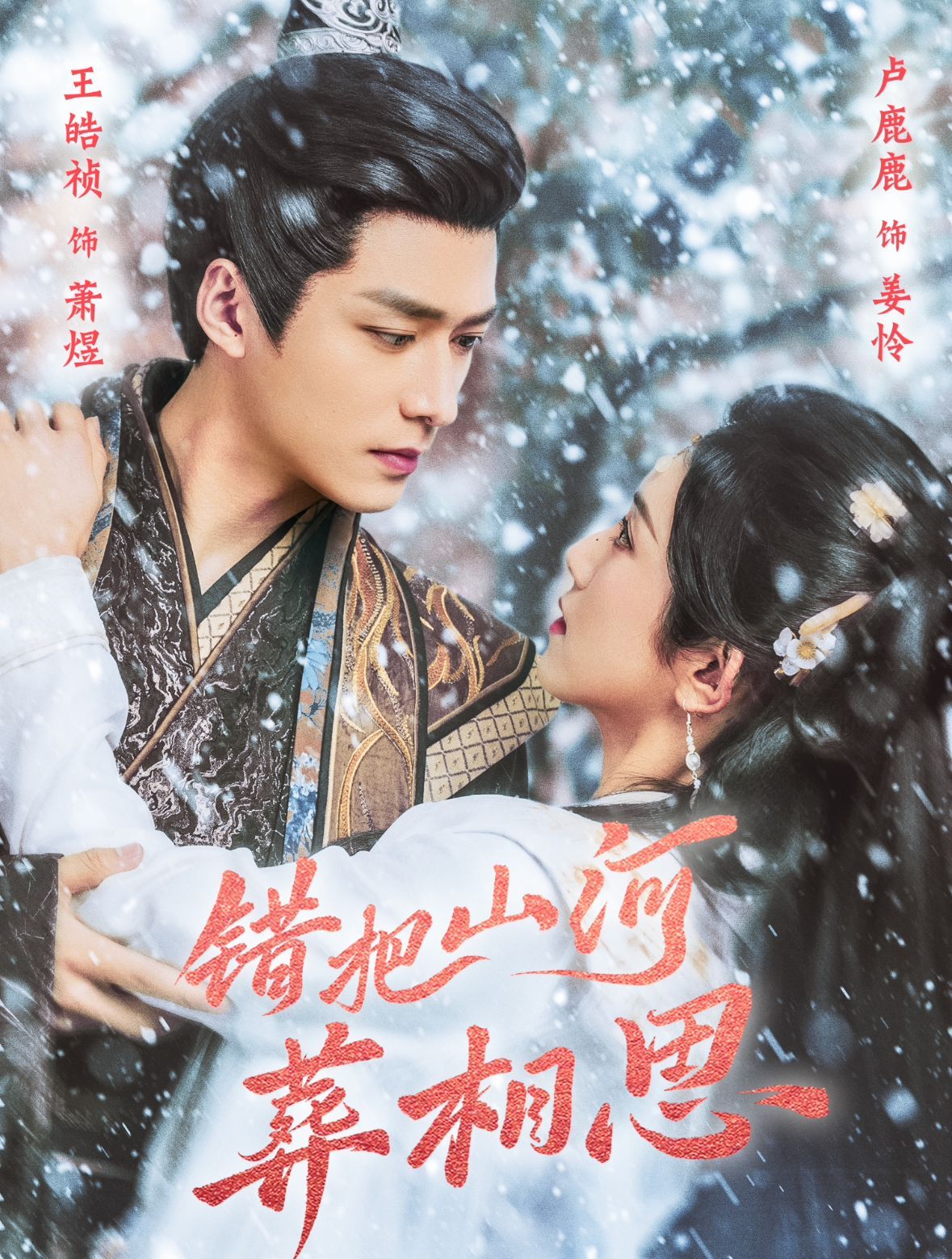 错把山河葬相思全集完结(大结局)