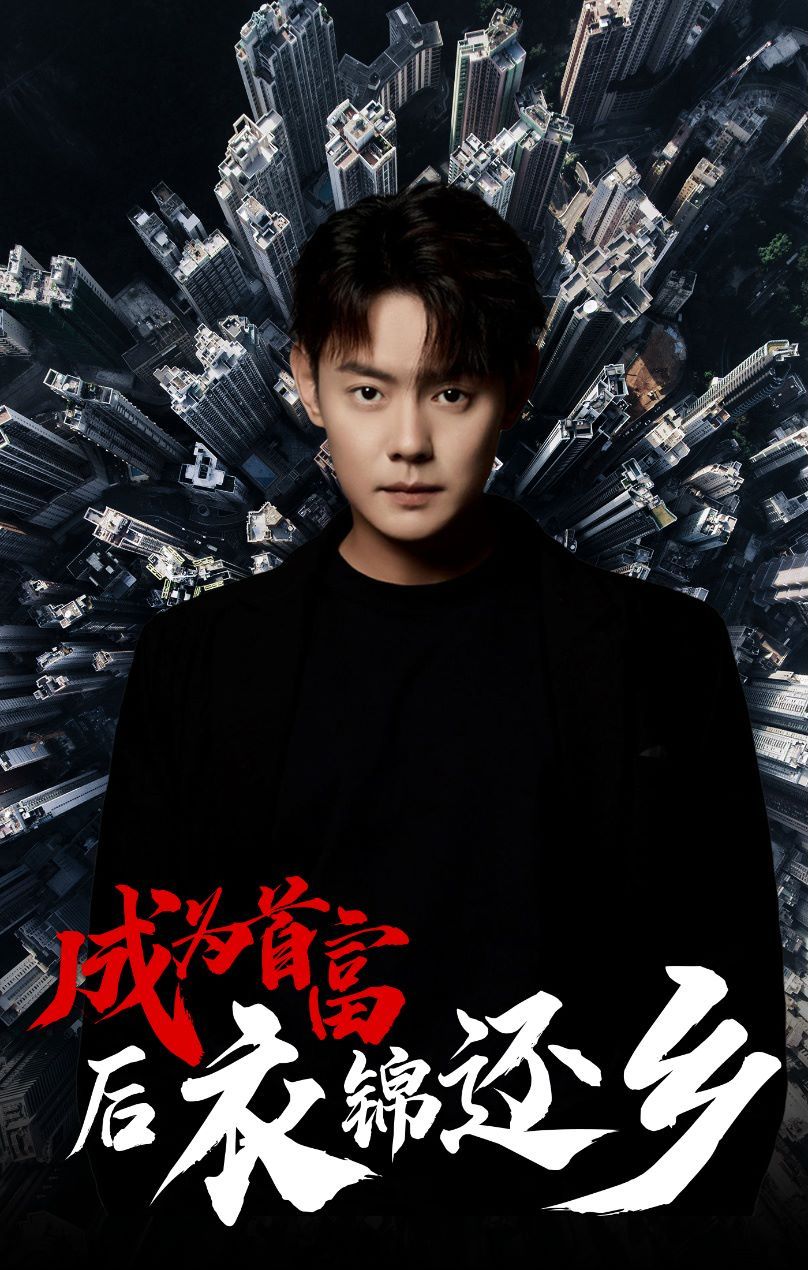 成为首富后衣锦还乡第21-30集完结(大结局)