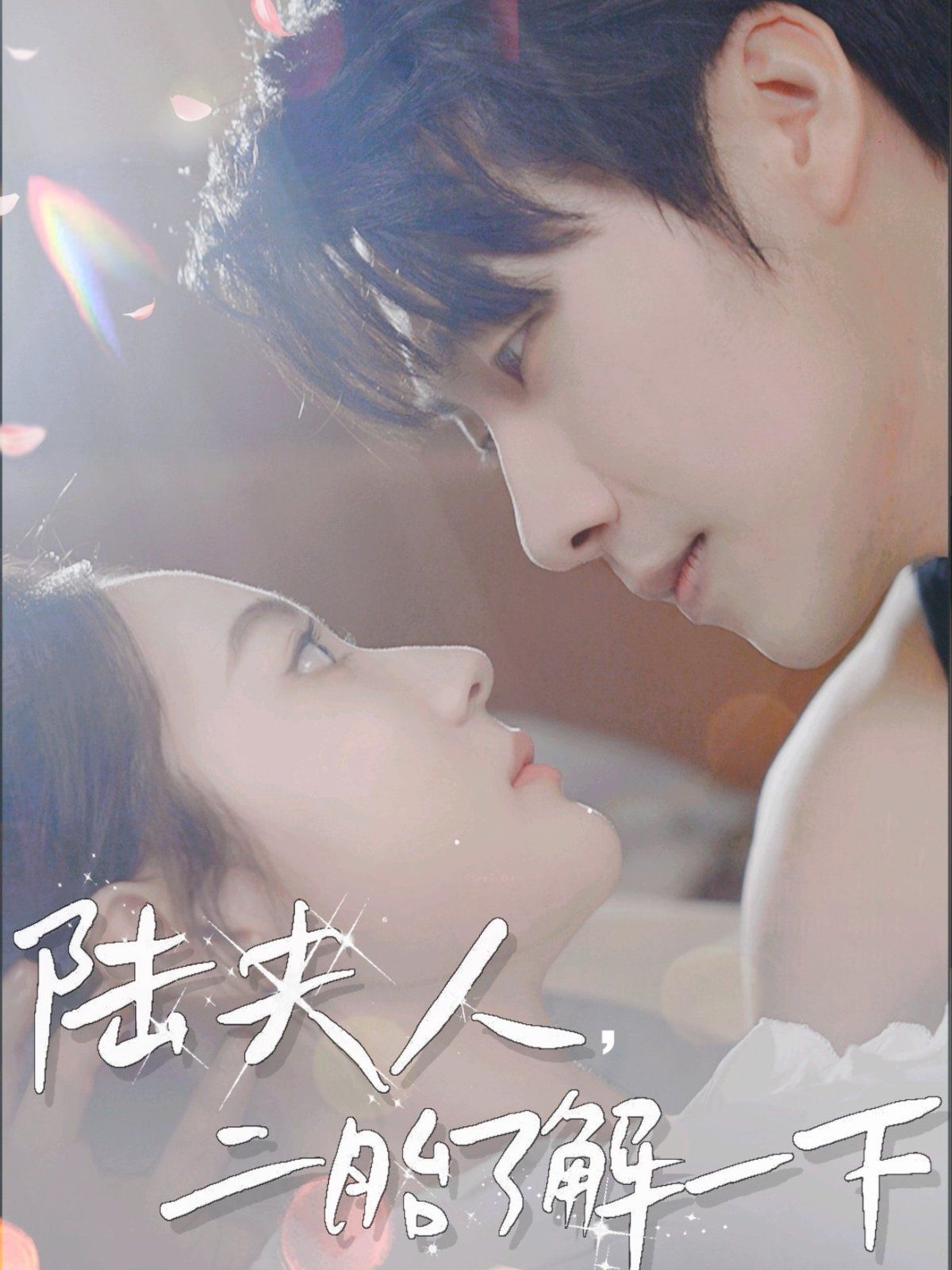 陆夫人，二胎了解一下全集完结(大结局)