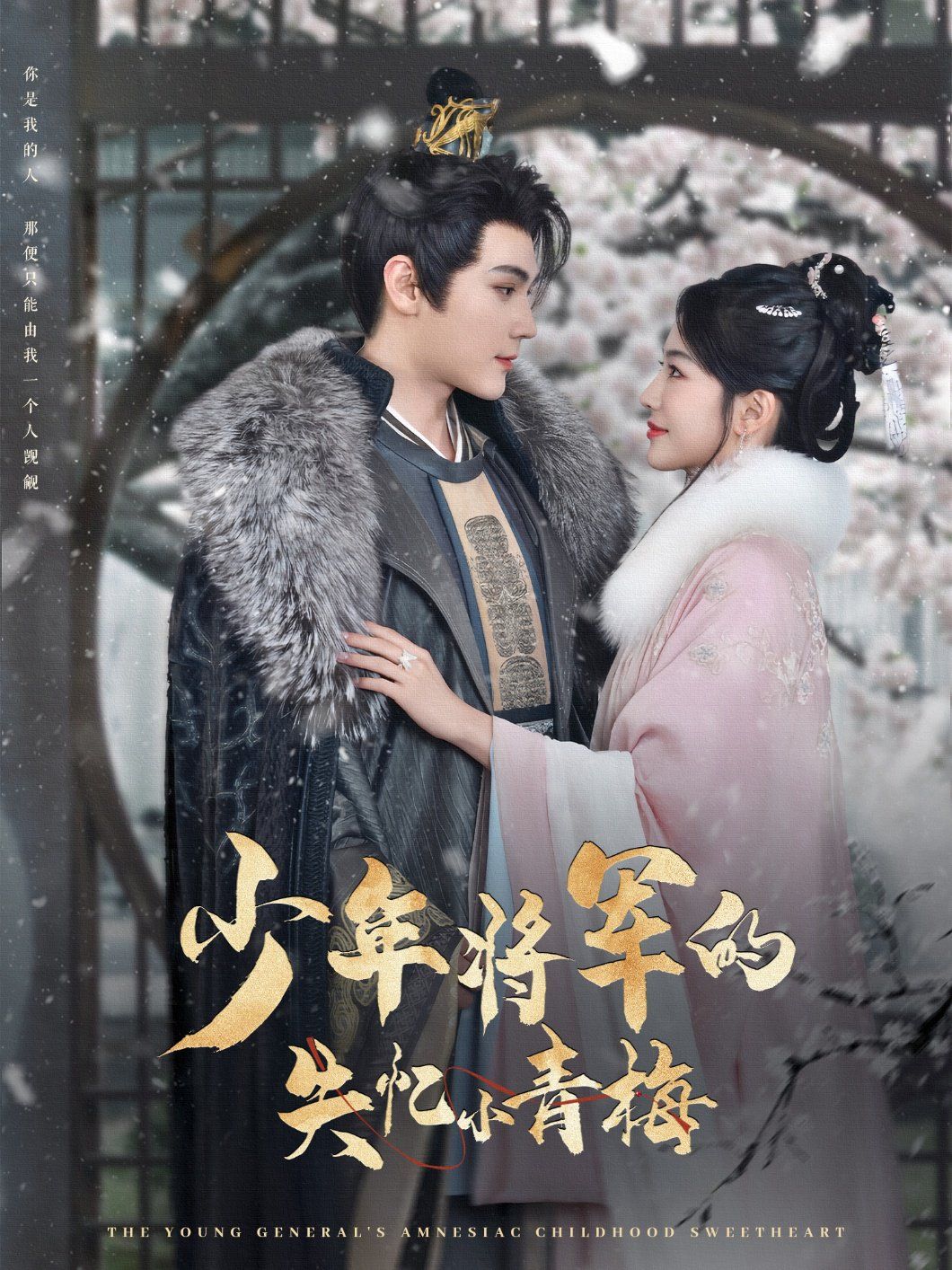 少年将军的失忆小青梅第1-20集