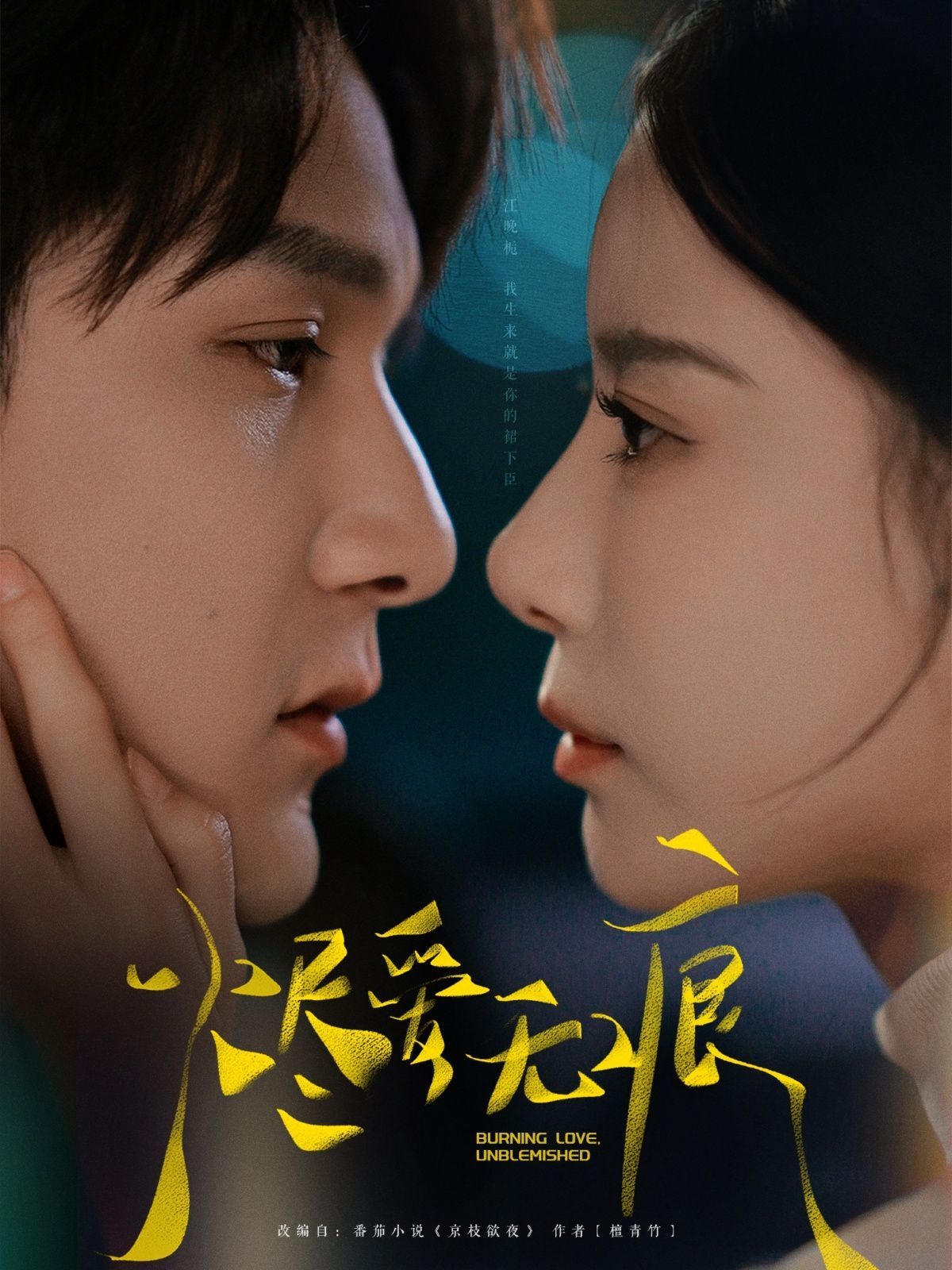 烬爱无痕第1-20集