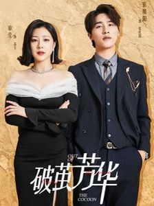 破茧芳华第21-40集