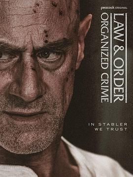 法律与秩序：组织犯罪 第五季(全集)