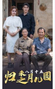 归来之八月十五月儿圆第1-20集