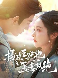 摄政王妃她医毒双绝第21-40集