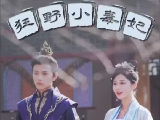 狂野小毒妃第21-40集