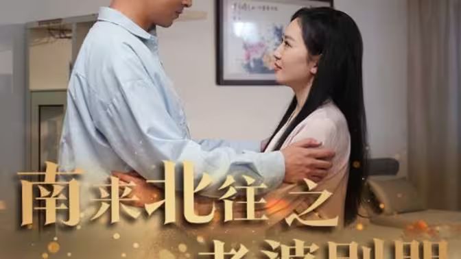 南来北往之老婆别哭第21-40集