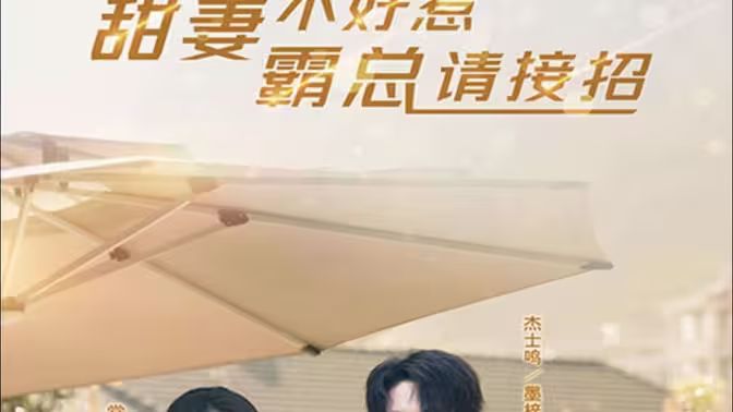 甜妻不好惹，霸总请接招第21-40集