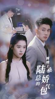 缠她上瘾陆总的娇气包第21-40集