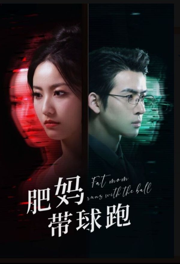 肥妈带球跑第1-20集