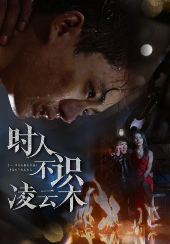 时人不识凌云木第1-20集