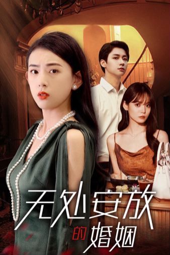 无处安放的婚姻第1-20集