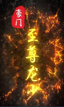 豪门至尊龙少第61-80集