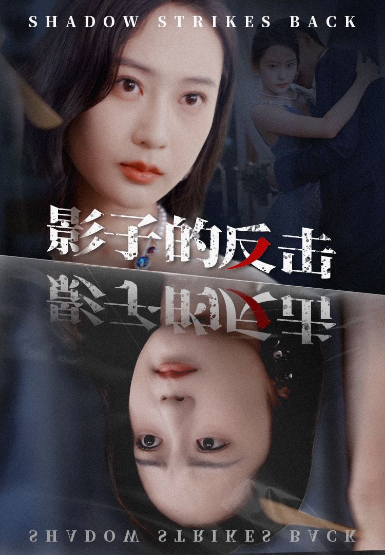 影子的反击第1-31集完结(大结局)