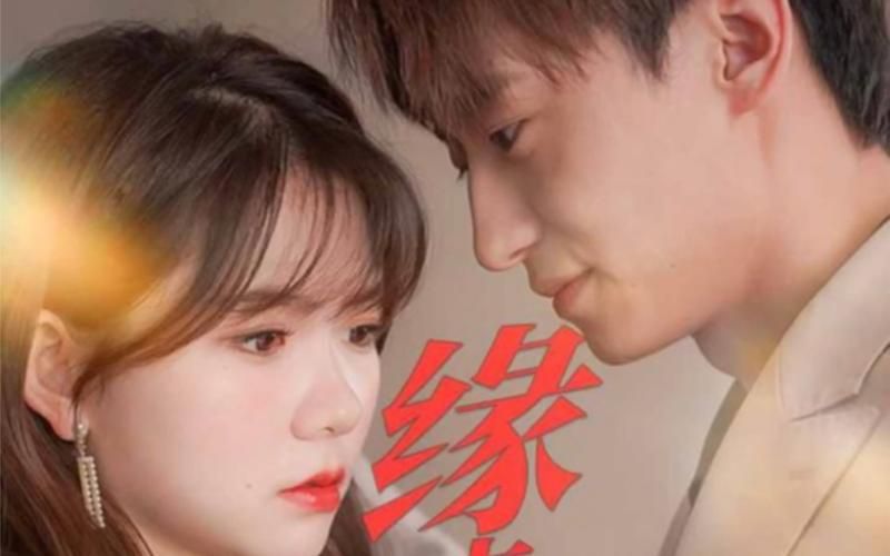 缘来是你第61-80集