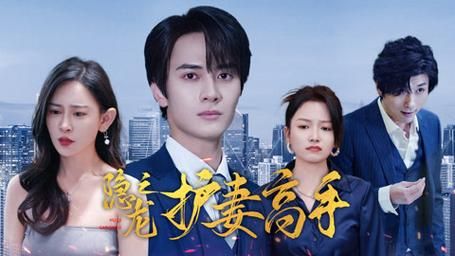 隐龙之护妻高手全集(大结局)