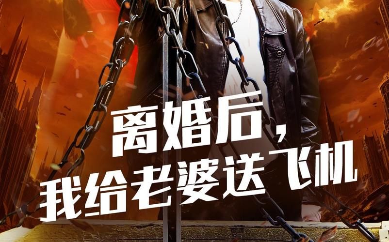 离婚后，我给老婆送飞机第1-30集