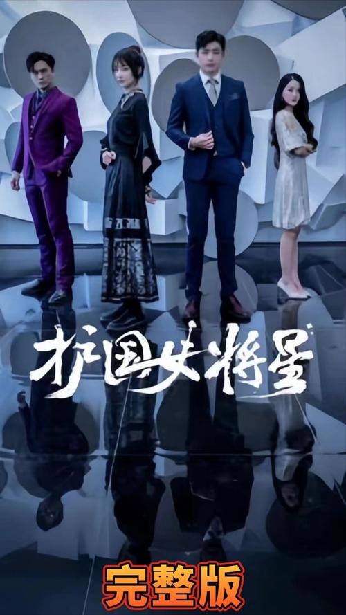 护国女将星第41-60集