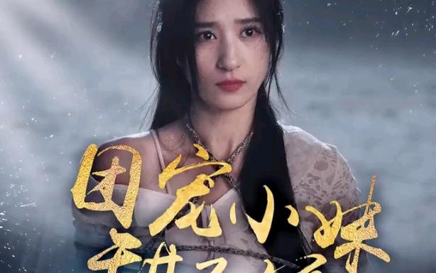 团宠小妹甜又娇第21-40集